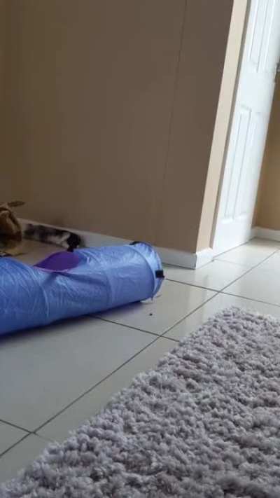 Caught his first flop