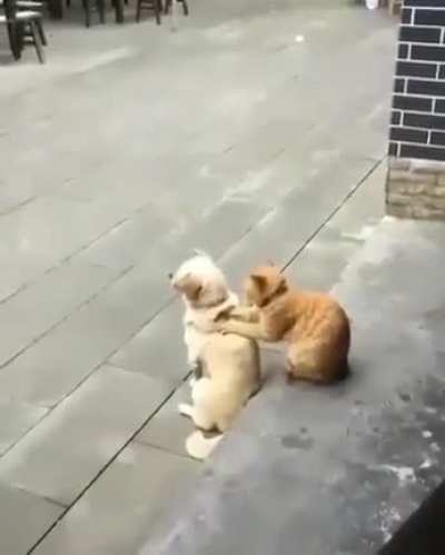 Massage Friend