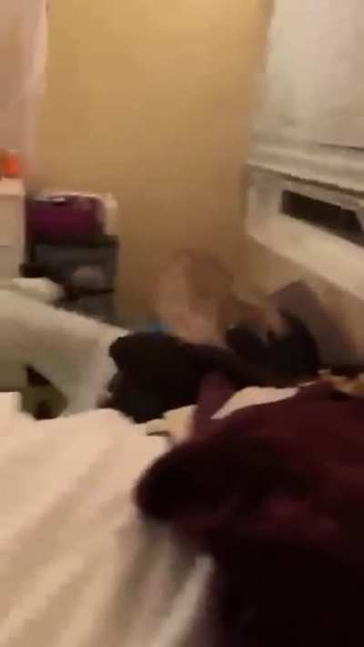 HMC while i tackle this beech