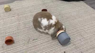 Cup-throwing chaos