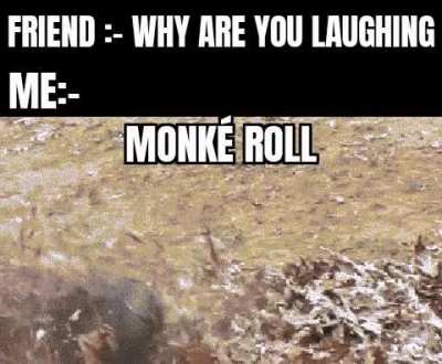 Monk&eacute; Doesn't stop rolling :(