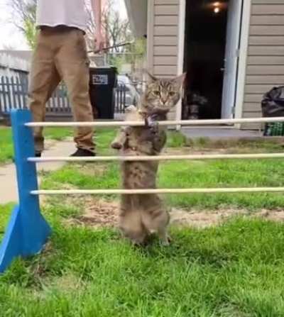 Maybe maybe maybe