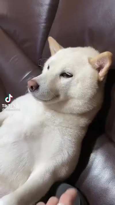 &ldquo;I guess it&rsquo;s time to sleep now&rdquo;