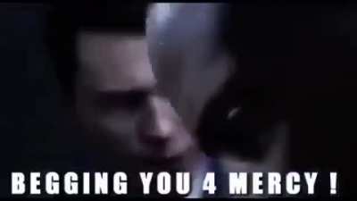 The milk Meister