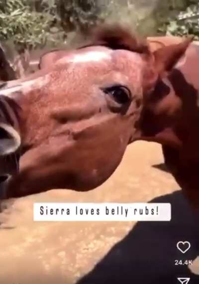 Maybe maybe maybe