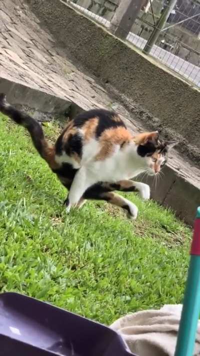 Yoga Poo