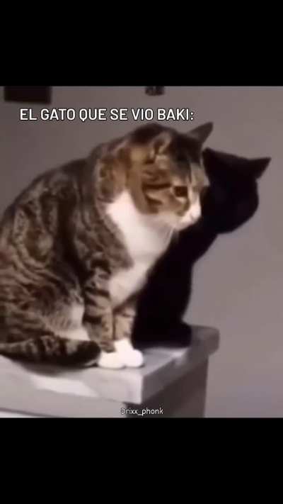 Xd
