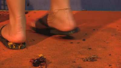 Inside Sonia's Sandals