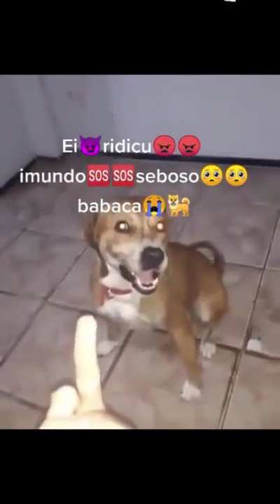 ei ridiculo 😡