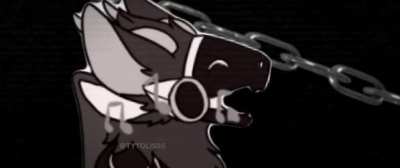 spin_irl