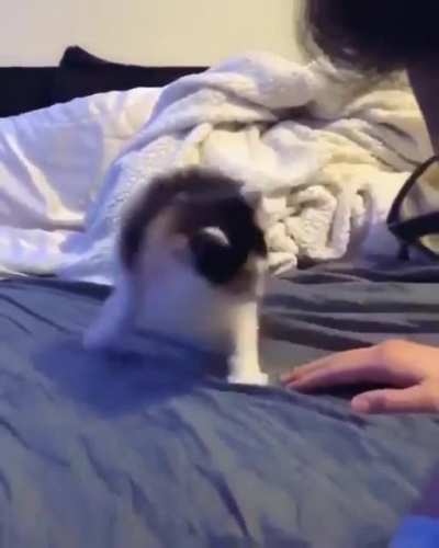 Defend Yourself
