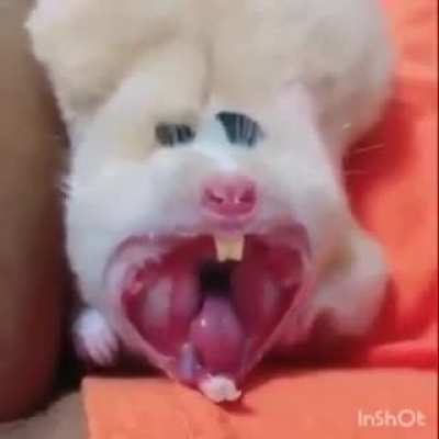 Leru