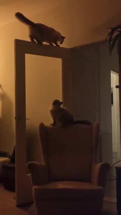 Double catculation