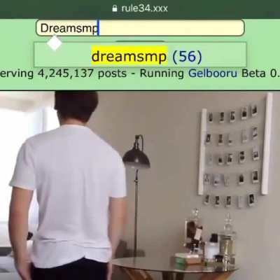 Image look for dreamsmp 🤢👎