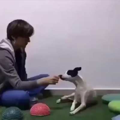 Good girl, sorry if repost