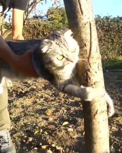No don&rsquo;t take me, this is my home now!