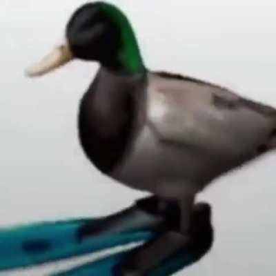 All the life decisions you made, lead you to this video