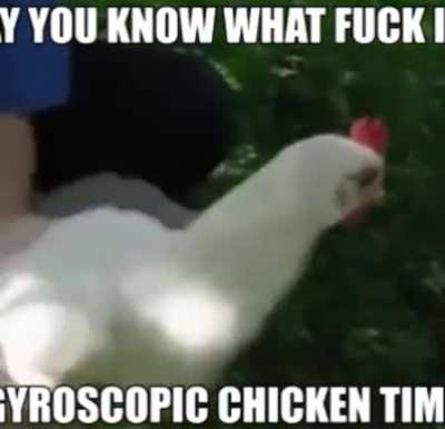 It's gyroscopic chicken time