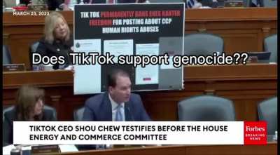 Mr shoe, does TikTok support good? yes or no please