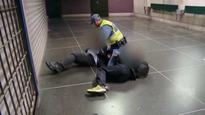 Swedish Security Guard takes down 2 people fighting in the subway