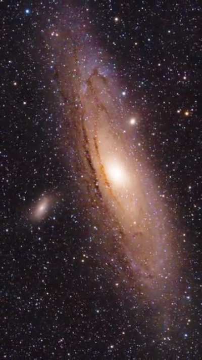 A dive into Andromeda galaxy