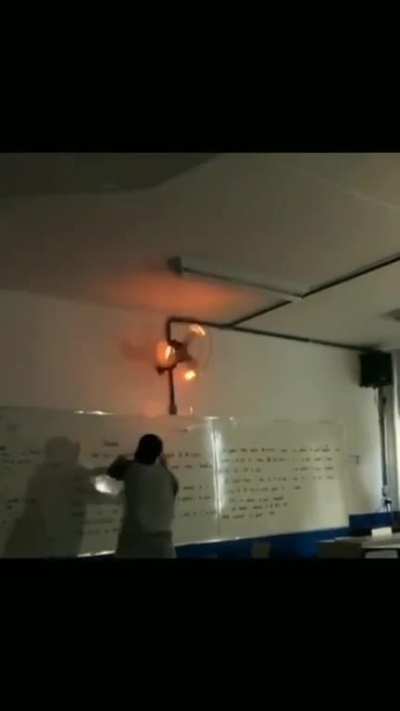 Actividad escolar