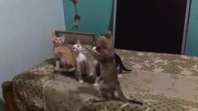 the key to grab their attention