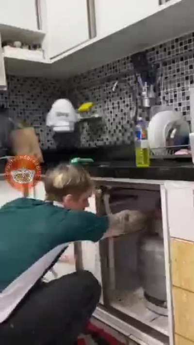 O assalto perfeito!