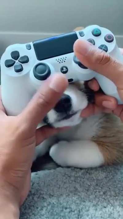 Extra nosy button