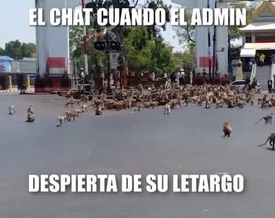 Larga vida al admin🐒🤟🏾