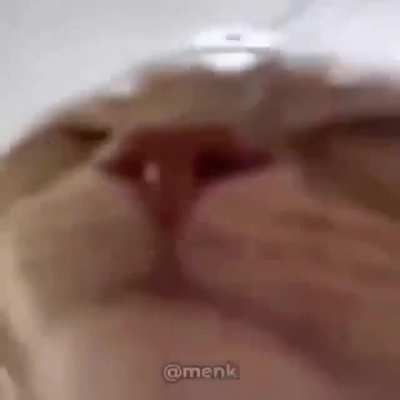 Concorda?