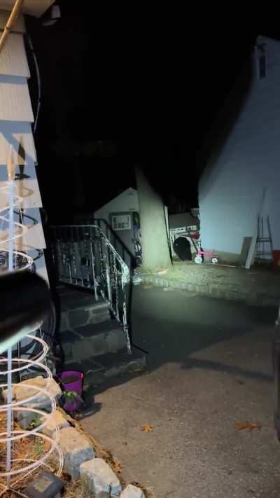 Guy playing paintball with a bear