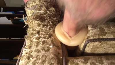 My cat scratched my chair and now it&rsquo;s fucked