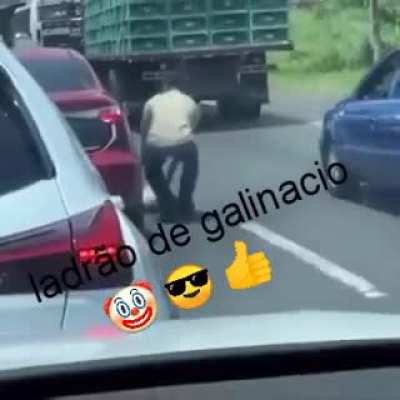 Galinacio capturado