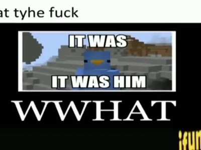 *grita*