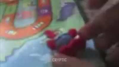 So many screams
