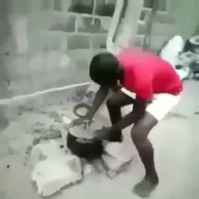 Masterchef