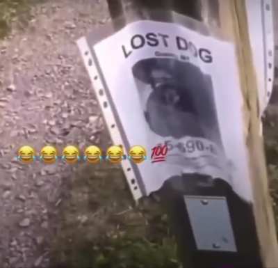To film an hilarious prank call