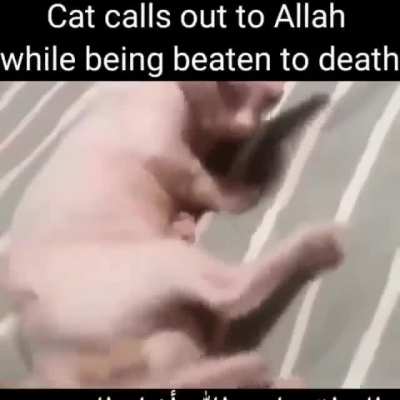 rule
