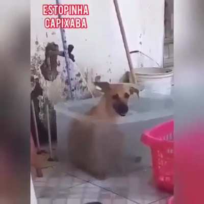 Most Happiest Doogo