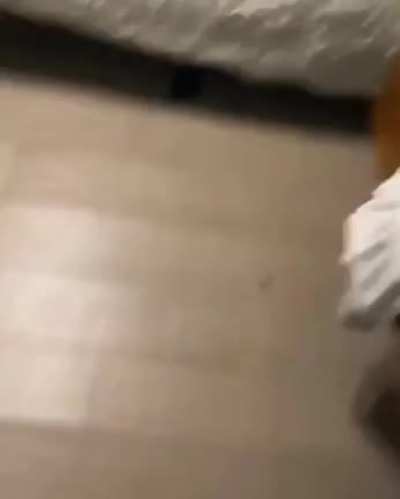 Don't touch the cum sock!
