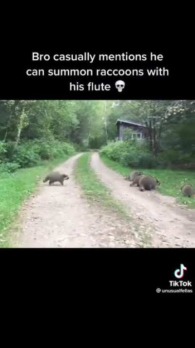 The tanuki army shall consume you