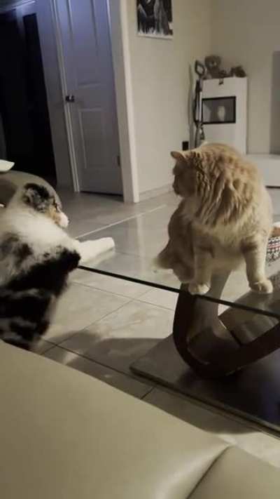&ldquo;I can do it too&rdquo;