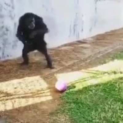 monke ballin'