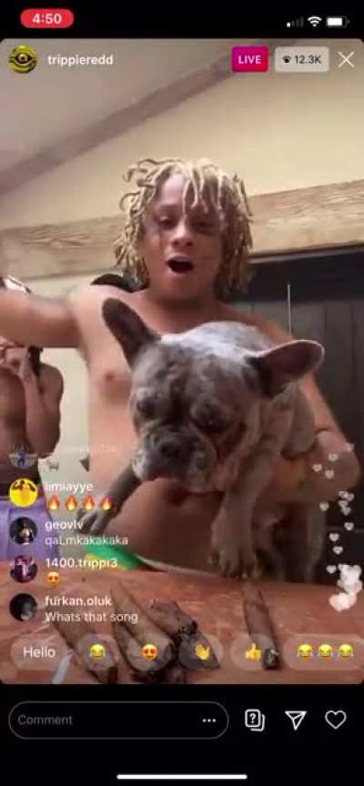 New snippet