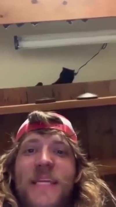 Cat being cat