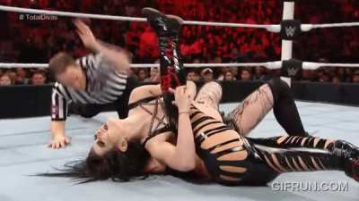 Brie Bella Pinned By Paige
