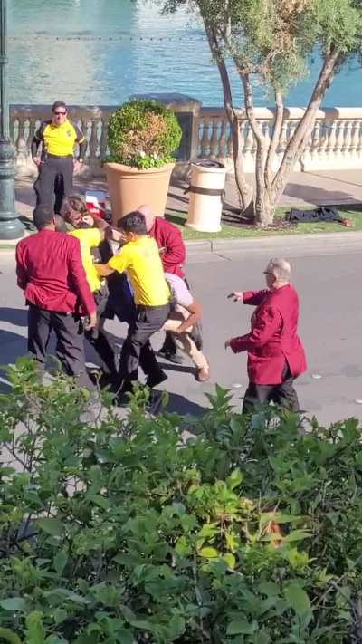 man at bellagio jumps on car 