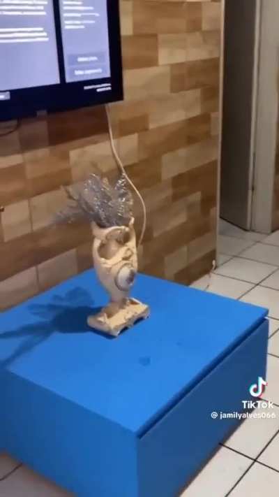Tem detalhes 