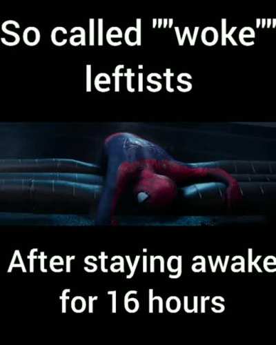 why do they call themselves "woke" if they can't stay awake 24/7 smh